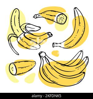 BANANAS Ripe Delicious Tropical Fruit Individually Peeled And In A Bunch In Sketch Style For Design Of Natural Products Shop Clip Art Vector Illustrat Stock Vector
