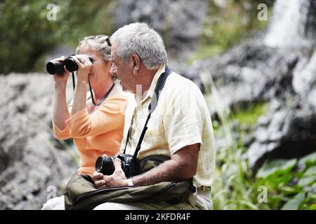 Together in nature. A senior couple taking a break while out walking in the forest together. Stock Photo