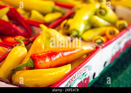 Fresh Hungarian Wax or banana peppers on display for sale at a farmers market. Stock Photo