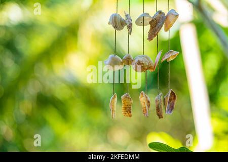 The doorbell is made from shells. Seashells on a rope. Stock Photo