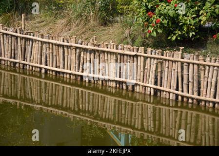 Bamboo fence, Dobanki Camp, Sunderban, South 24 Pargana, West Bengal, India