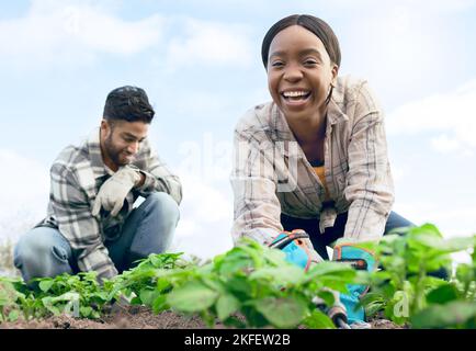 Farmer, gardening and agriculture portrait in field with happy black woman and indian man working. Nature, soil and interracial farming people on Stock Photo