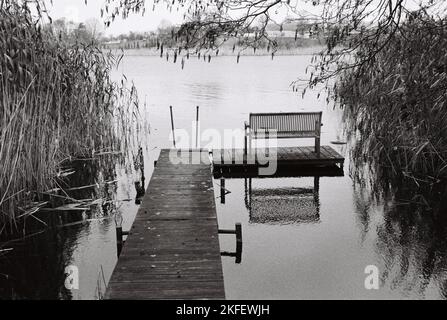 A grayscale shot of a dock with an empty bench surrounded by reeds. Stock Photo