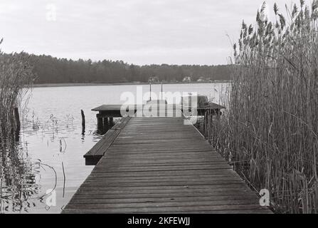 A grayscale shot of a dock surrounded by reeds. Stock Photo