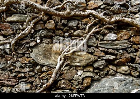 stone wall in South Devon Stock Photo