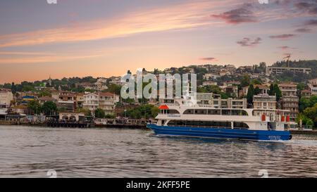 Istanbul, Turkey - August 25, 2022: Ferry boat in Marmara sea with background of the green mountains of Buyukada island, with traditional summer houses, trees, and ferry terminal on the far end Stock Photo