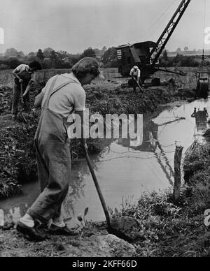 Vintage photo circa April 1943 of unidentified British women working on a farm digging drainage ditches with spades in rural Devon as part of the Women's Land Army helping produce food during world war two Stock Photo