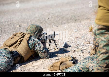 Troop exercise: A soldier takes aim with an assault rifle. [automated ...