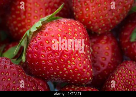 Close-up view of strawberries Stock Photo