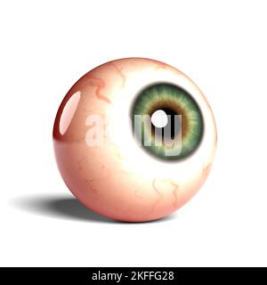 Side view of realistic human eyeball isolated on wihte background, 3D rendering Stock Photo