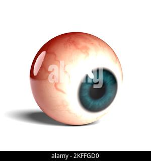 Side view of realistic human eyeball isolated on wihte background, 3D rendering Stock Photo