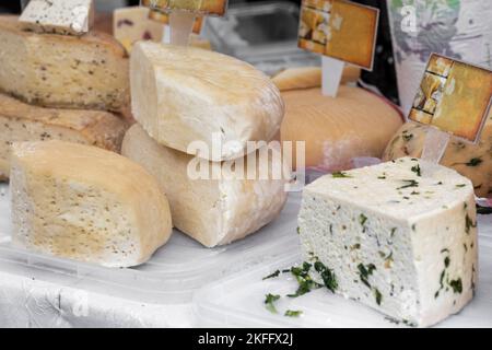 Cheese counter with a variety of delicious cheeses on a food festival Stock Photo