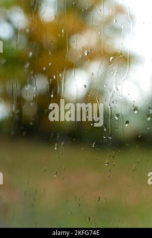 Rain droplets on a misted window with a blurred background of autumn foliage in a park during a rainy day Stock Photo