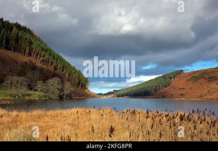 Llyn Geirionydd lake in autumn near Trefriw Snowdonia National Park Gwynedd North Wales UK, Late Spring. Stock Photo