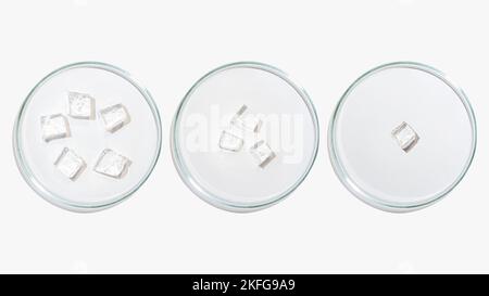 The several petri dishes and cubes of frozen transparent gel on a light background Stock Photo