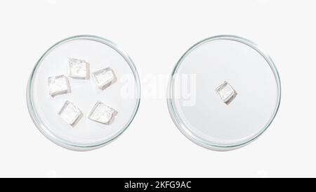 The several petri dishes and cubes of frozen transparent gel on a light background Stock Photo