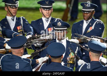 Air Force Drill Team, Miami Dolphins honor veterans > Air Force District of  Washington > Article Display