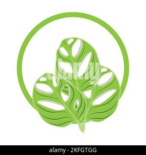 Monstera adansonii Leaf Logo, Green Plant Vector, Tree Vector, Rare Leaf Illustration Stock Vector