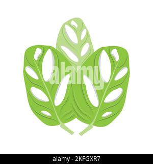 Monstera adansonii Leaf Logo, Green Plant Vector, Tree Vector, Rare Leaf Illustration Stock Vector