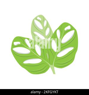 Monstera adansonii Leaf Logo, Green Plant Vector, Tree Vector, Rare Leaf Illustration Stock Vector