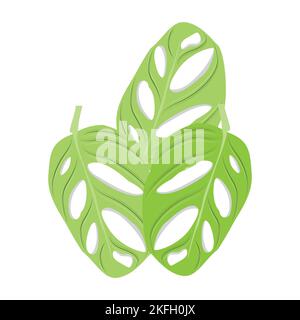 Monstera adansonii Leaf Logo, Green Plant Vector, Tree Vector, Rare Leaf Illustration Stock Vector