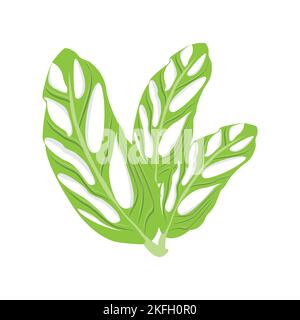 Monstera adansonii Leaf Logo, Green Plant Vector, Tree Vector, Rare Leaf Illustration Stock Vector