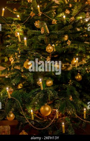 Part of a traditional Christmas tree with lights and golden decorations. Stock Photo