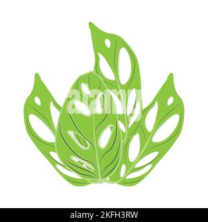 Monstera adansonii Leaf Logo, Green Plant Vector, Tree Vector, Rare Leaf Illustration Stock Vector