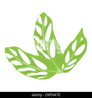 Monstera adansonii Leaf Logo, Green Plant Vector, Tree Vector, Rare Leaf Illustration Stock Vector