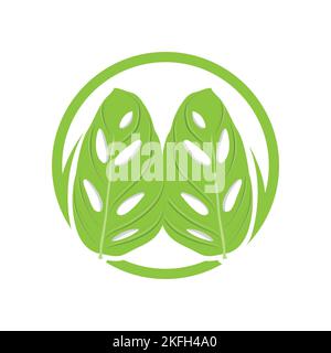 Monstera adansonii Leaf Logo, Green Plant Vector, Tree Vector, Rare Leaf Illustration Stock Vector