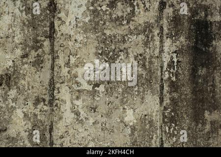 concrete wall with moss and dirt from the weather by the sea. Stock Photo
