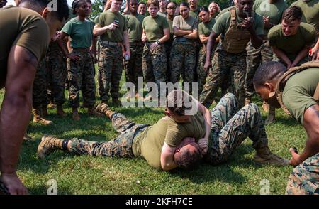 U.S. Marine Corps Lance Cpl. Keegan Bailey and Lance Cpl. Rodrigo Alas grapple during a Security Battalion field meet on Marine Corps Base Quantico, Virginia, Sept. 16, 2022. Field meets are held to test Marines on their physical fitness while also bringing the battalion closer together and boosting unit camaraderie. The meet included an ammo can relay race, tire flip challenge, and grappling. Motor Transport Services finished in first place, followed by Marine Corps Base Quantico Food Services, and Installation Personnel Administration Center team two. (US Marine Corps photo by Lance Cpl. Kay Stock Photo