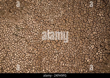 Large mud cracks in the dry soil during hot summer spells, lack of rain result. Global warming concept. Stock Photo