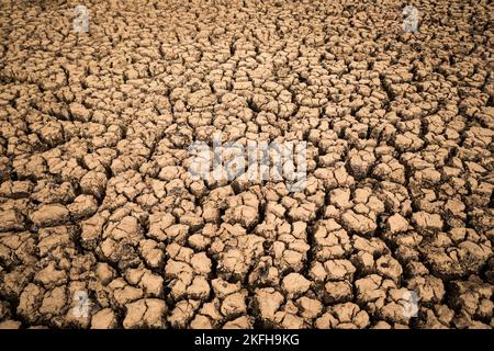 Dry riverbed with cracked mud in hot summer Stock Photo