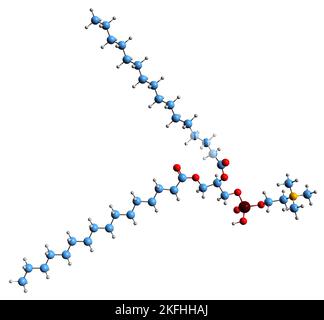 3D image of Dipalmitoylphosphatidylcholine skeletal formula - molecular chemical structure of  phospholipid isolated on white background Stock Photo