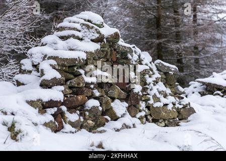 Dilapidated old stone wall with snow covering. Stone boundary wall to the forest. Stock Photo