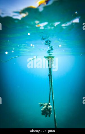 Long rope tied up to buoy floating underwater in sea Stock Photo