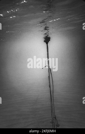 long rope tied up to buoy floating underwater in sea Stock Photo