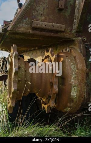 an abandoned rusting British FV4201 Chieftain main battle tank wreck in afternoon sunlight Stock Photo