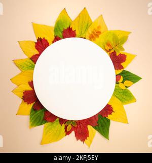 Round label with various autumn leaves. Autumn round frame - wreath from dry colored leaves isolated on white background Stock Photo