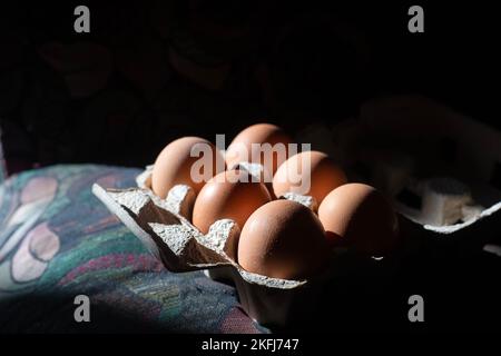 High contrast picture. Set of six brown fresh eggs in grey paper container. Rembrandt natural sunlight. Healthy protein eating. Ingredient. Wallpaper Stock Photo