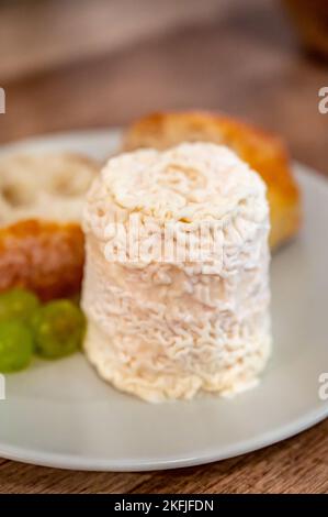 Cheese collection, French soft Chabichou of Poitou cheese made from goat milk in region Nouvelle-Aquitaine, France close up Stock Photo