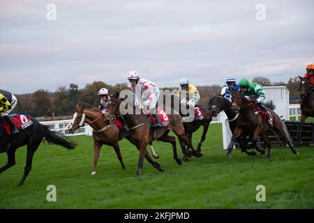 Ascot, Berkshire, UK. 18th November, 2022. The Paddock Ownership Day Series Novices Handicap Hurdle Race. Credit: Maureen McLen/Alamy Live News Stock Photo