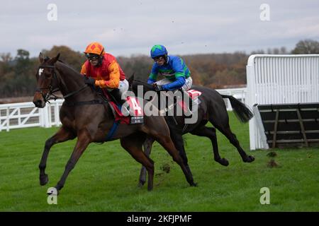 Ascot, Berkshire, UK. 18th November, 2022. The Paddock Ownership Day Series Novices Handicap Hurdle Race. Credit: Maureen McLen/Alamy Live News Stock Photo