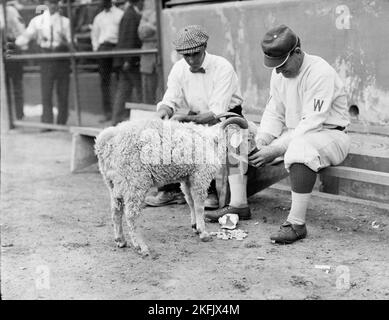 William &quot;Germany&quot; Schaefer, Washington Al (Baseball), 1912. Stock Photo