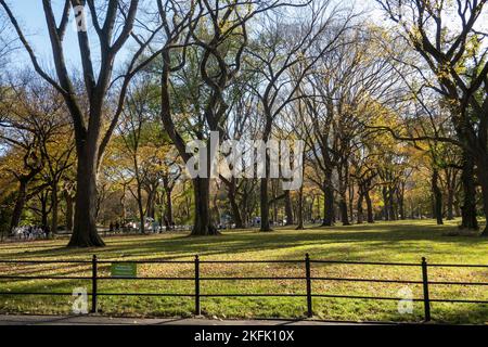 Call the mall area in Central Park provides a peaceful path on an autumn afternoon, 2022, NYC, USA Stock Photo