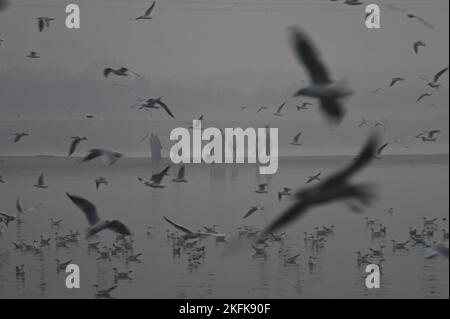 November 19, 2022, New Delhi, Delhi, India: People stand on the banks of river Yamuna in New Delhi. Migratory birds arrive during the winter season in different parts of India by October and are expected to leave by the month of March. (Credit Image: © Kabir Jhangiani/ZUMA Press Wire) Stock Photo