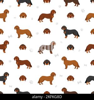 Alpine Dachsbracke seamless pattern. Different poses, coat colors set.  Vector illustration Stock Vector