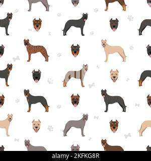 Alano Espanol seamless pattern. Different poses, coat colors set.  Vector illustration Stock Vector