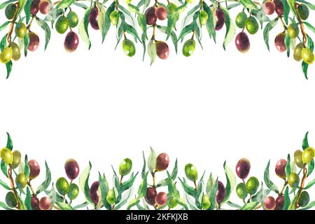 Horizontal frame, border with olive branches and ripe fruits. Oil in a ...